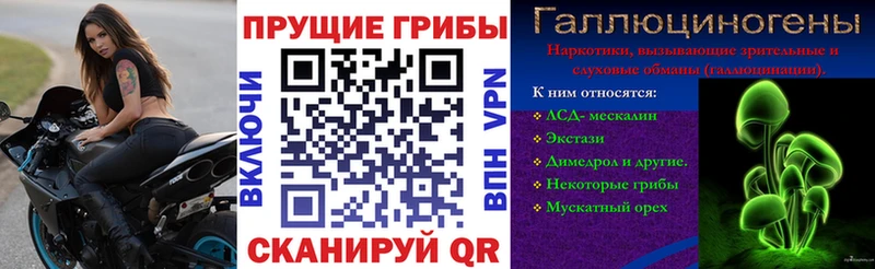 продажа наркотиков  Сибай  Галлюциногенные грибы мицелий 